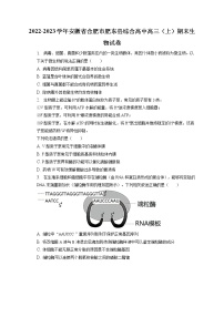 2022-2023学年安徽省合肥市肥东县综合高中高三（上）期末生物试卷（含答案解析）