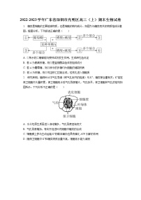 2022-2023学年广东省深圳市光明区高三（上）期末生物试卷（含答案解析）