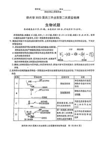 漳州市2023届高三毕业班第二次质量检测生物试题含答案