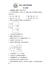 山东省青岛第二中学2022-2023学年高二上学期12月月考生物试题