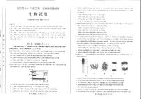 2023届安徽省合肥市高三第一次教学质量检测 生物试题及答案