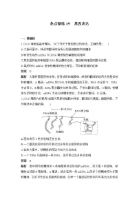 2023届高三生物一轮复习热点微练19：基因表达