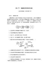 高中生物人教版 (2019)必修1《分子与细胞》第3节 细胞核的结构和功能当堂达标检测题