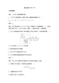 人教版 (2019)必修1《分子与细胞》第2节 细胞的能量“货币”ATP练习