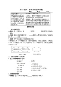 高中生物第1节 生态系统的结构学案设计