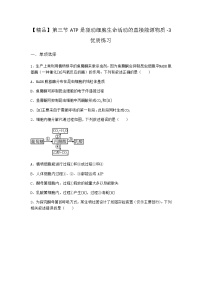 高中生物第三节 ATP是驱动细胞生命活动的直接能源物质课后复习题