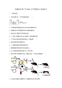 高中生物第三节 DNA分子的复制同步训练题