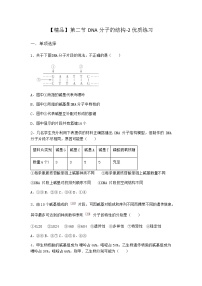 沪科版 (2019)必修2《遗传与进化》第二节 DNA 分子的结构课后作业题