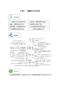 专题三 细胞的生命历程——【新教材】2023年高考生物二轮复习专题学案汇编(原卷版+解析版)