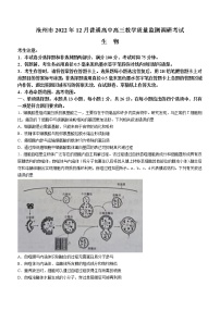 2023沧州高三上学期期末考试生物含答案