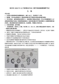 2023沧州高三上学期期末考试生物含答案