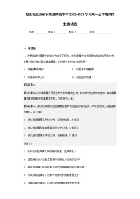 2022-2023学年湖北省武汉市水果湖高级中学高一上学期期中生物试题含解析