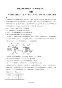 2023长沙雅礼中学高三上学期月考卷（四）生物PDF版含答案