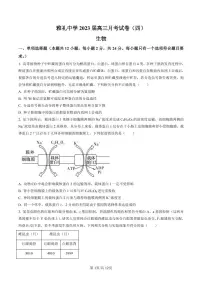 2023长沙雅礼中学高三上学期月考卷（四）生物PDF版含答案