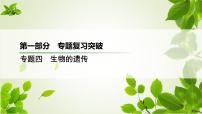 2023届高考生物二轮复习遗传的分子基础课件