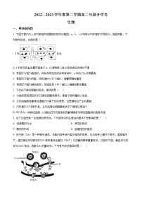 2023安徽省名校高二下学期开学考试生物试题含答案