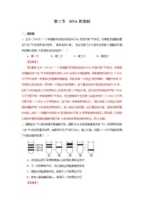 人教版 (2019)必修2《遗传与进化》第3节 DNA的复制学案设计