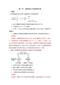 高中人教版 (2019)第4章 基因的表达第2节 基因表达与性状的关系学案