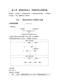 高中生物2022年高考生物一轮复习 第5单元 第16讲　基因在染色体上、伴性遗传和人类遗传病