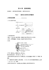 高中生物2022年高考生物一轮复习 第6单元 第19讲　基因的表达