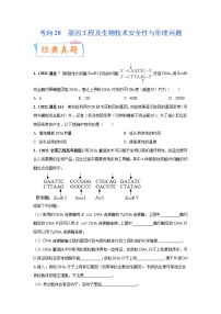 考向28  基因工程及生物技术安全性与伦理问题-备战高考生物一轮复习考点微专题（全国通用）