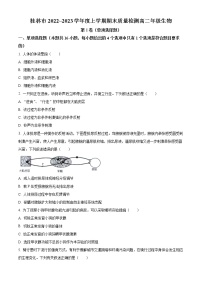 2023桂林高二上学期期末考试生物试题含答案