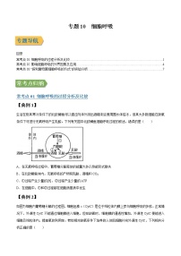 专题10 细胞呼吸-高三毕业班生物常考点归纳与变式演练