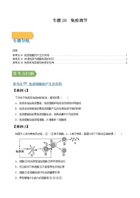 专题28 免疫调节-高三毕业班生物常考点归纳与变式演练