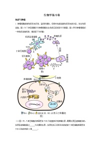 2022-2023学年上海市闵行区高三上学期一模试题（1月）生物含解析