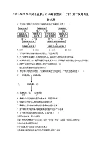 2021-2022学年河北省邢台市卓越联盟高一(下)第二次月考生物试卷(含答案解析)