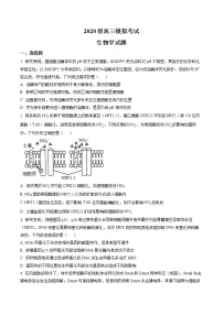 2023届山东省日照市高三上学期高考一模考试生物试题