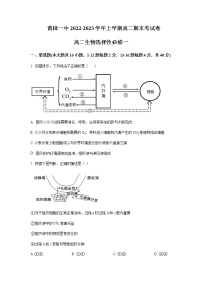 2022-2023学年福建省莆田第一中学高二上学期期末考试生物试题含答案