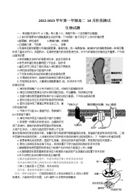 2022-2023学年江苏省扬州市高邮市高二上学期10月月考试题生物含答案