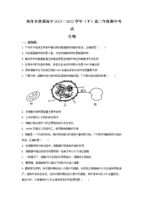 2021-2022学年河南省焦作市普通高中高二下学期期中考试生物试题含答案