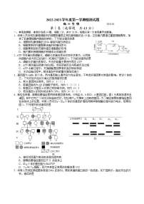 2023届江苏省扬州市高三上学期期末考试生物试卷含答案