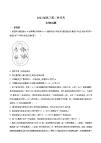 2023届河南省南阳市第一中学校高三上学期第二次月考生物试卷含解析