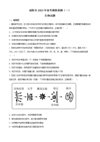 2023届陕西省咸阳市高考模拟检测（一）生物试题  Word版无答案