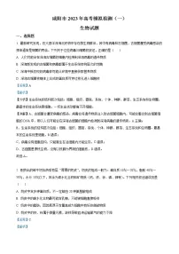 2023届陕西省咸阳市高考模拟检测（一）生物试题 Word版含解析