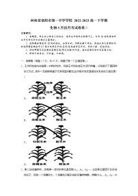 2023洛阳一中高一下学期3月月考试题（二）生物含答案