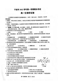 2023宁波高一上学期2月期末考试生物PDF版含答案