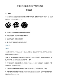 2022-2023学年内蒙古赤峰二中高二上学期期末生物试题含解析