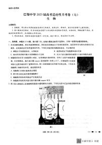 2023重庆市巴蜀中学高三下学期高考适应性月考卷（七）生物PDF版含答案