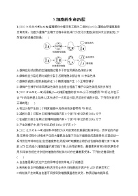 2023届高考二轮总复习试题 生物（适用于老高考新教材） 知识对点小题练 5.细胞的生命历程 Word版含解析