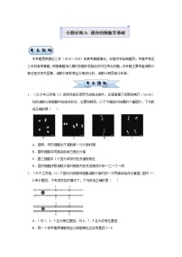 高中生物高考 2021届小题必练8  遗传的细胞学基础 学生版