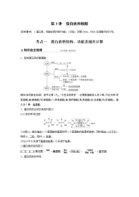 高中生物高考2022年高考生物一轮复习 第1单元 第3讲 蛋白质和核酸