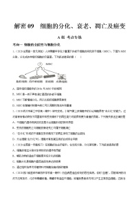 高中生物高考解密09 细胞的分化、衰老、凋亡及癌变（分层训练）（原卷版）