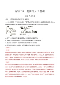 高中生物高考解密10 遗传的分子基础（分层训练）（解析版）