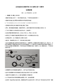 2022-2023学年江西省五市九校协作体高三上学期第一次联考生物试题含解析