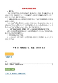 高考生物一轮复习【讲通练透】 专题13 细胞的分化、衰老、凋亡和癌变