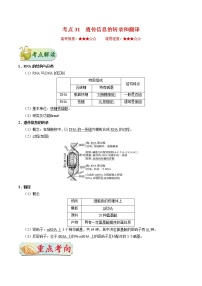高中生物高考考点31 遗传信息的转录和翻译-备战2022年高考生物考点一遍过
